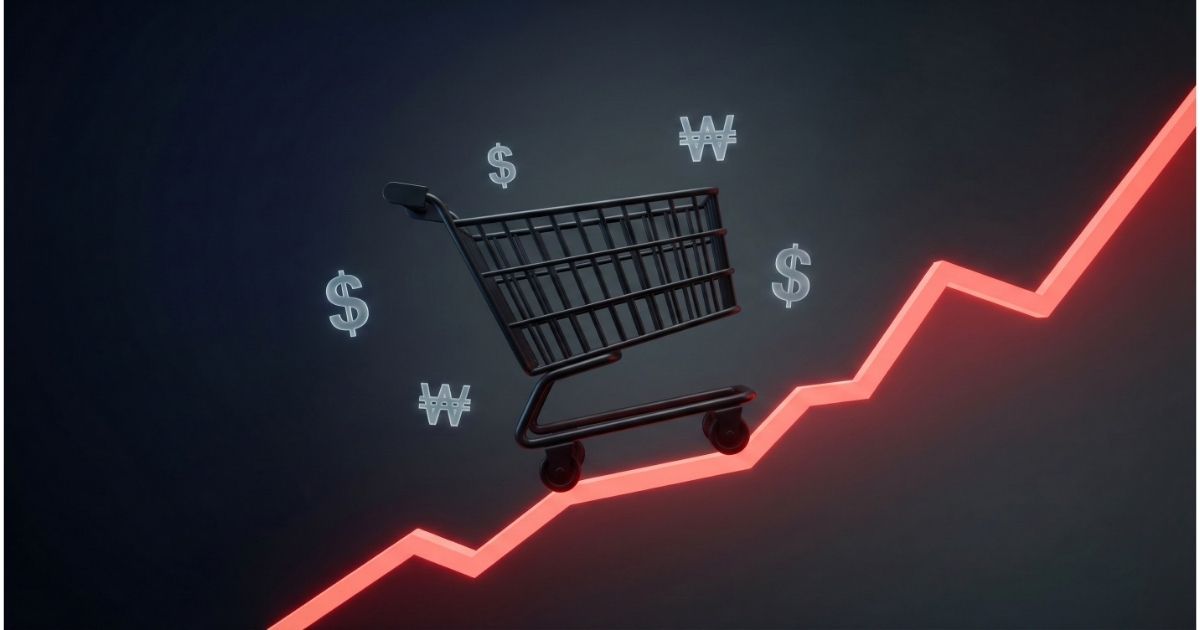 2025 블랙 프라이데이 환율 급등으로 멈춰버린 쇼핑 카트 그래프